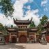 林嘉慧，资深非洲旅行规划师，为超过200位中国旅行者定制过肯尼亚Safari行程